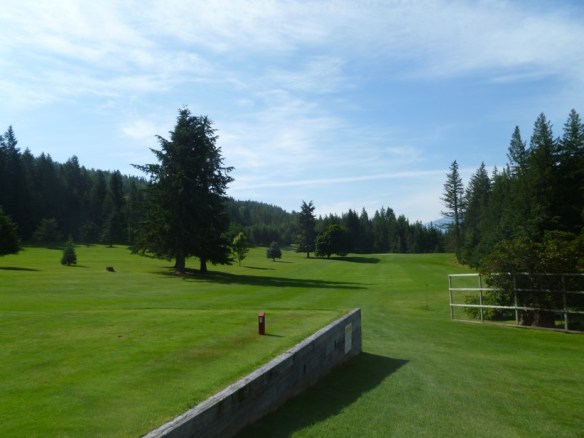 C2463FA44A2D43B98003D822CC5A4C0E